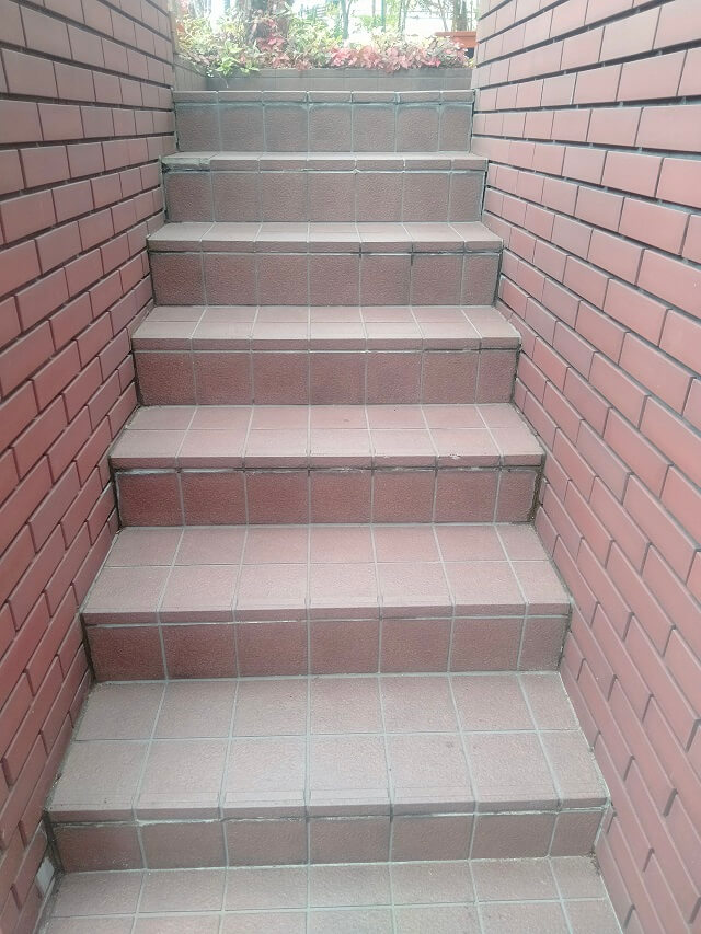 掃除が完了した階段
