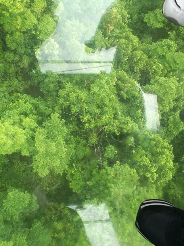 ケアンズのスカイレールからの眺め