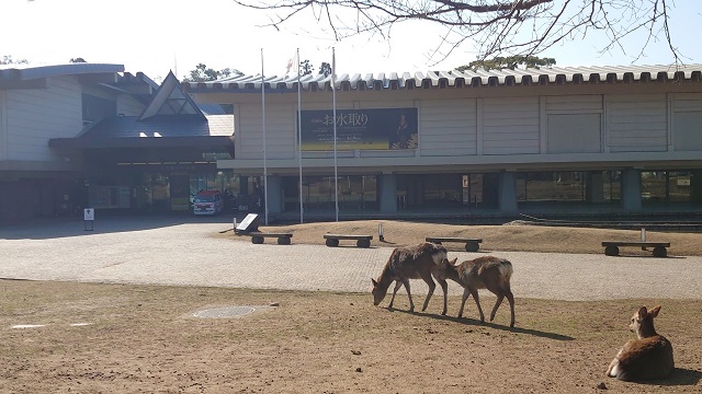 奈良公園