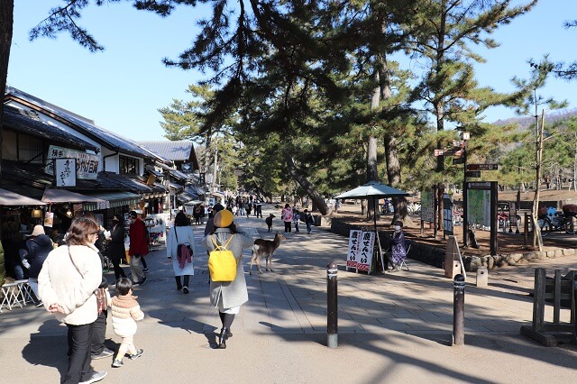 東大寺の参道
