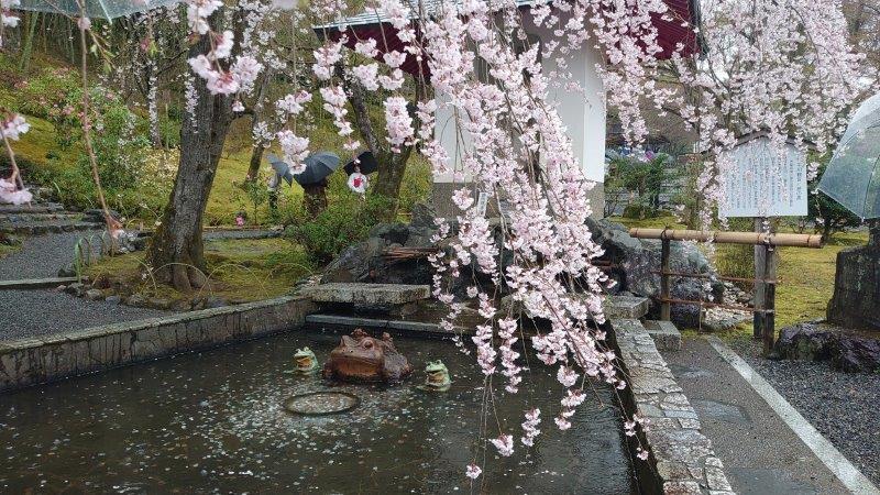 嵐山 天龍寺の「平和観音と愛の泉」