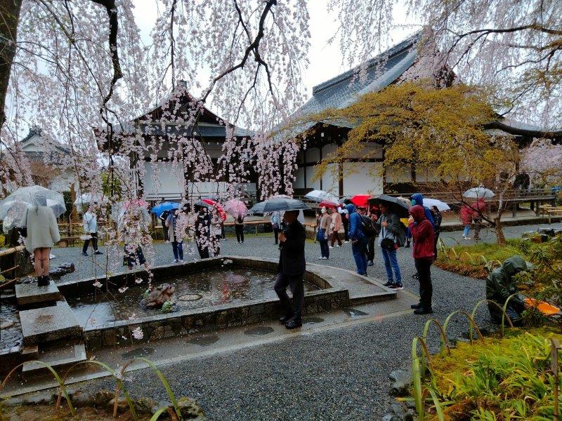 嵐山 天龍寺の「平和観音と愛の泉」