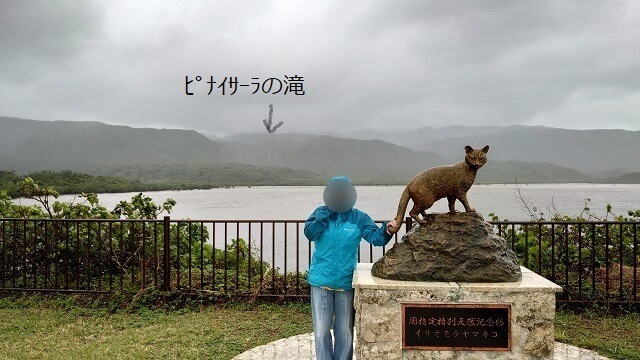 西表島のイリオモテヤマネコ像