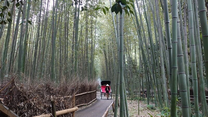 嵐山　竹林の道