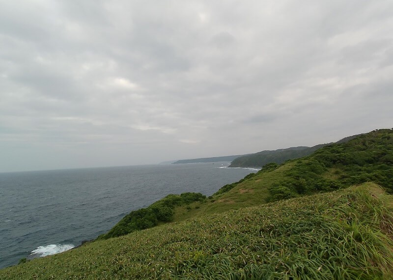 宮古崎の草原